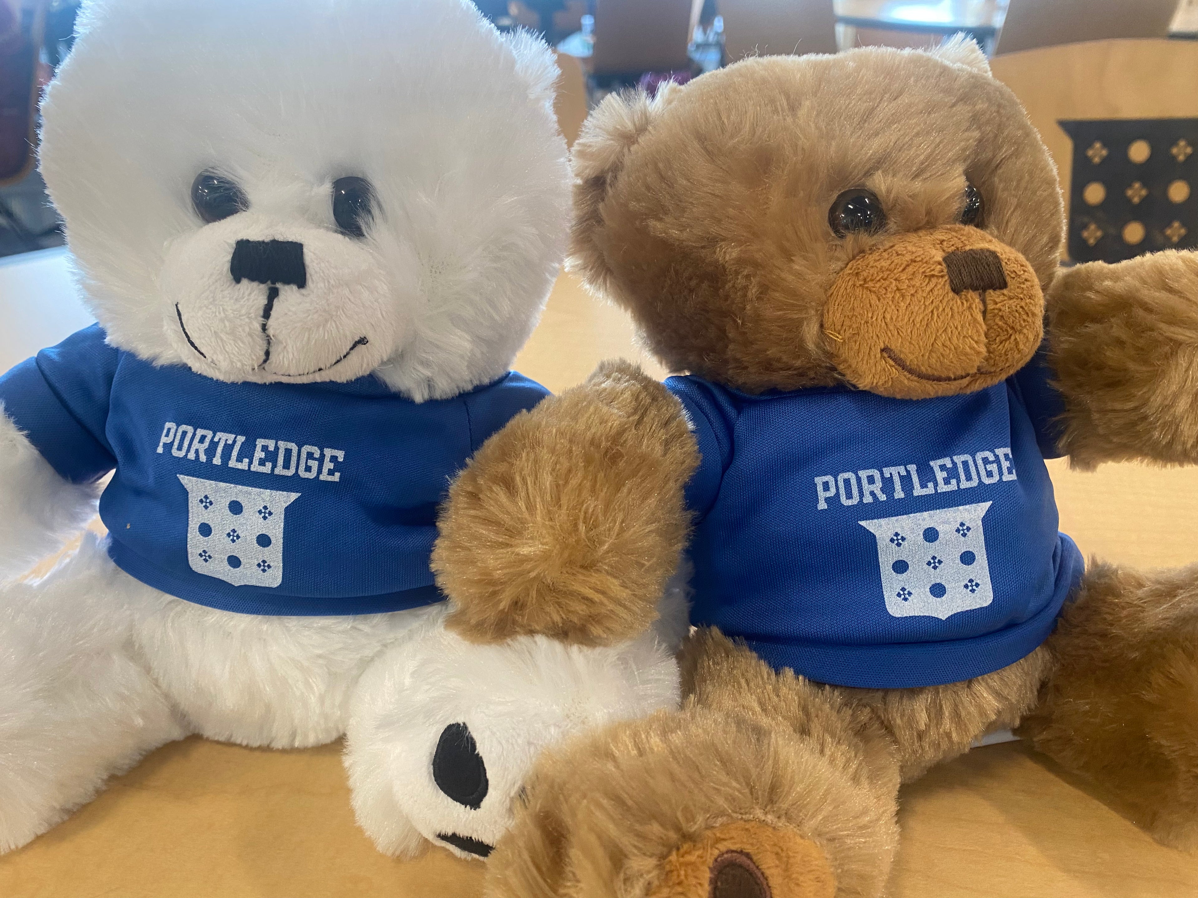 Bear with Portledge Crest Sweater in Royal